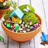 113 PCS Fairy Garden Accessories,Miniature Fairy Garden Accessories Outdoor,Fairy Garden Kit,Fairy Garden Animals, Miniature Figurines,Micro Lands...