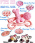 4 Pack Puppy Toys for 2-8 Months Teething Pets Dog Chew Toy Puppies Teeth Cleaning Toy Food Dispensing Soft Rubber Bone Funny Ball Interactive Don...