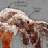 WISHPETS Stuffed Animal - Soft Plush Toy for Kids - 9 Inch Tarantula...