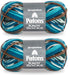 Patons Kroy Socks Yarn, 2-Pack, Route 66 (Blue, Green, and Brown Yarn)......