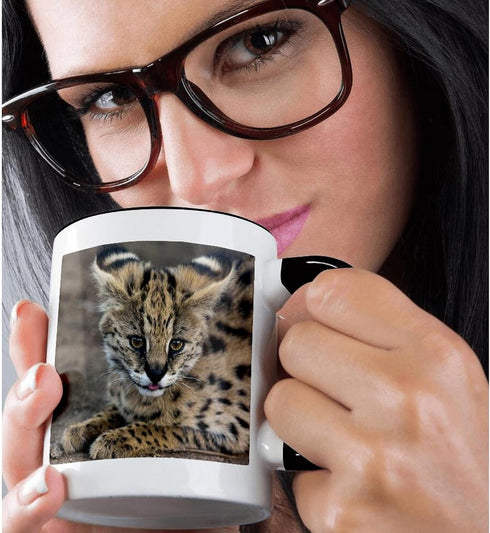 3dRose mug_70989_4 "Serval Cat, Kapama Game Reserve, South Africa-AF42 SPI0103 - Sergio Pitamitz" Two Tone Black Mug, 11 oz, Multicolor...