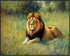 Posterizer 1 pcs- beautiful majectic lion in oil painting style-Art for Animal Lovers-Landscape & Nature Art- Living Room Bedroom Decor- unframed ...