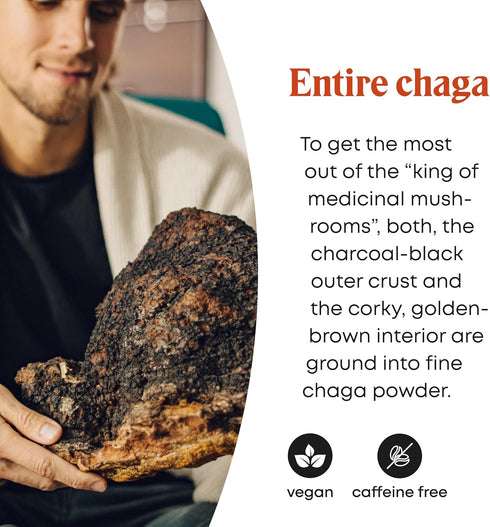 Chaga Mushroom Powder - Wild Harvested Chaga Powder from Estonian Forests. Chaga Mushrooms Powder with Antioxidants for Chaga Tea and Chaga Coffee...