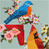 Louise Maelys 3 sets bird Embroidery Kits for Beginners,Adults Starter flower pattern Cross Stitch Kit DIY Needlepoint Kits with embroidery instru...