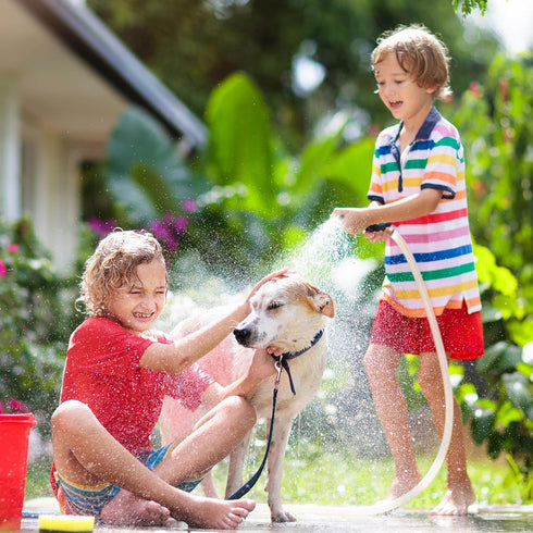 Garden Hose Nozzle Sprayer Heavy Duty, Hose Nozzle with 10 Adjustable Watering Patterns, Thumb Control On Off Valve, High Pressure Garden Hose Noz...