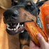 Covington Sweet Potato - Bacon - 11.46 oz, Dehydrated Dog Treats, Vitamin Rich All Natural Chew, This & That Canine Co...