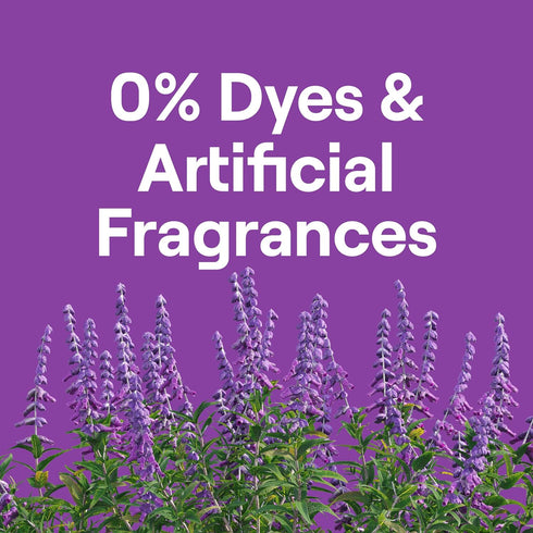 Seventh Generation EasyDose Laundry Detergent Fresh Lavender Scent 2 Pack Ultra Concentrated Washing Detergent 23 oz...