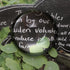Sumnacon Crystal Magnifying Glass Dome - 3.15'' Crystal Magnifier Dome, Fuctional Paperweight/Photography/Decoration, Reading Aid for Blueprints, ...
