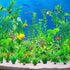 30pcs Fish Tank Accessories Aquarium Decorations Green Plants, Green Fish Tank Decorations Plant, Fish Tank Decor, Aquarium Decor Plastic Plants...