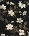 Posterizer 1 pcs-dainty wild white flowers with black background-Floral & Botanical Art-Abstract & Modern Art-Decor for Home & Office- UNFRAMED Wa...