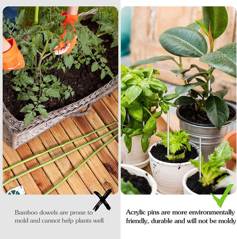 Zopeal 200 Pieces Acrylic Lollipop Sticks Cake Pops Candy Treat Sticks for Wedding Halloween Christmas Candy Cake Pops Toppers Chocolate Cookie De...