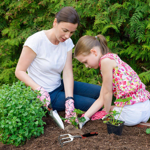 Garden Tool Set, 3 Piece Gardening Tools Includes Garden Trowel, Transplant Trowel and Hand Rake with Non-Slip Ergonomic Handle, Heavy Duty Garden...