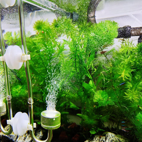 Boao 32.8 ft Aquarium CO2 Proof Tubing Clear Airline Tubing Aquarium Air Tubing 5/16 Inch with 12 Pcs Suction Cups Aquarium Air Pump Accessories f...