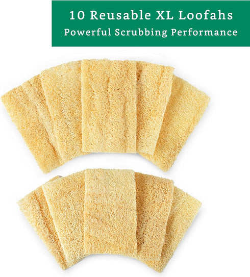 Natural Loofah Kitchen Sponge (XL - 10 Pack) - Natural Sponges for Dishes - Eco Friendly Sponges - Compostable Sponge - Biodegradable Sponges Kitc...