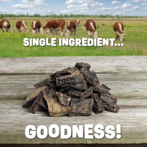 Beef Liver Dog Treats | Hickory Smoked Flavor Liver Treats for Dogs Made in The USA | Nutritious Dog Liver Treats | All-Natural Dehydrated Liver D...