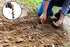 Ashman Auger 12inch One Pack, Garden Plant Flower Bulb Auger for Planting Bulb seedlings...