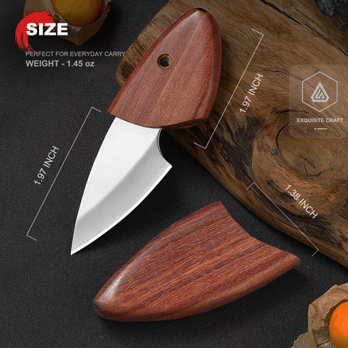 Small Pocket Knife Keychain Knife for Men with Sheath, Box Cutter Knife, EDC Pocket Knives for Outdoor Camping, Gifts for Dad husband Him...