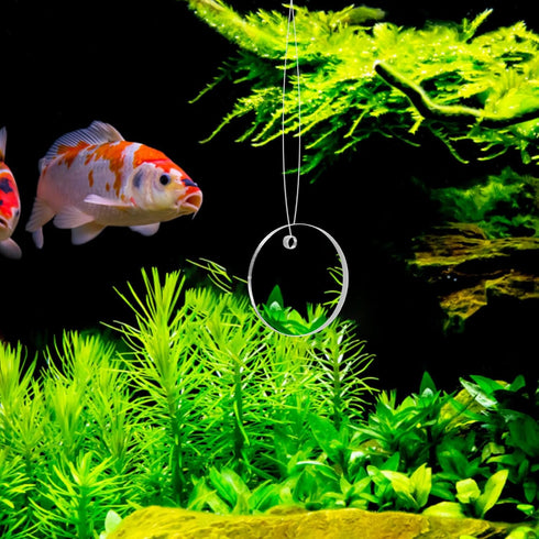 POPETPOP Betta Exercise Mirror 1 Set Double Sided Circle Betta Mirror with Floating Ball for Aquarium Fish Tank 5CM...