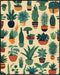 Posterizer 1 pcs-plants pots cactus cute art for plant lovers 2-Floral & Botanical Art-GIft for Men Women Teens-Decor for Home & Office- unframed ...