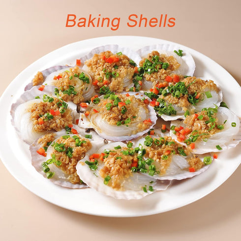 16PCS Sea Shells for Crafts 2.7"~3.5" White Scallop Shells, for Baking Shells Crafts DIY Painting Beaching Wedding Decoration Beach Natural Scallo...