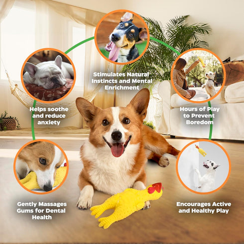 Rubber Crazy Chicken Dog Toy, 100% Natural & Durable Latex Dog Squeaky Toys, Soothes, Entertains & Promotes Wellness, Funny Puppy Toys for Small, ...