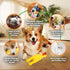 Rubber Crazy Chicken Dog Toy, 100% Natural & Durable Latex Dog Squeaky Toys, Soothes, Entertains & Promotes Wellness, Funny Puppy Toys for Small, ...