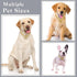 Gold Chain Dog Collar Link Dog Chain Metal Dog Chain Collars Dog Link Collar for Small Medium Large Dogs (14 Inch)...