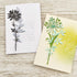 Sizzix Thinlits Die Set , Wildflower Stems #1 by Tim Holtz, 5 Pack, One Size, Multicolor 5 Piece...
