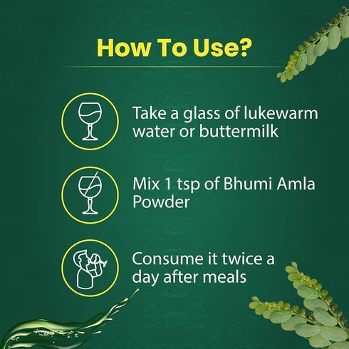 Organic Bhumi Amla Powder - Rich in Antioxidant Vitamin C - Supports healthy immune function 100Gm (Pack of 1)...