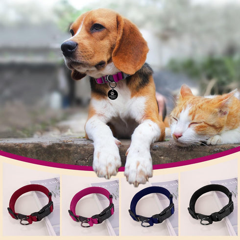 Large Dog Collar Girl Boy, Classic Dog Collar for Mini Dogs Female Male Pet Cats Puppy Collar, Extra Small Dog Collar for Litter with Buckle, D-Ri...