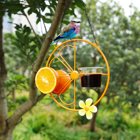 FORUP Oriole Bird Feeder for Outdoors Jelly and Oranges, Orange Fruit Oriole Jelly Bird Feeder, Outdoor Garden Metal Hanging Drinking Grape Jelly ...