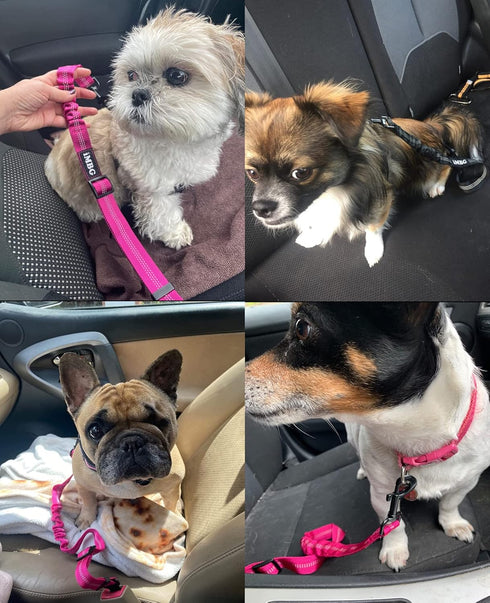 Dog Seat Belts for Car, Adjustable Nylon Restraint Car Seat Belt for Dog, Strong Dog Car Safety Harness with Elastic Bungee Buffer, 360 Degree Swi...