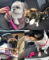 Dog Seat Belts for Car, Adjustable Nylon Restraint Car Seat Belt for Dog, Strong Dog Car Safety Harness with Elastic Bungee Buffer, 360 Degree Swi...