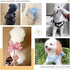 Dog Harness and Leash Set with Bow Knot No Pull Pet Daisy Floral Harness with D-Ring Soft Mesh Dog Harness Vest Set Escape Proof Princess Puppy Ha...