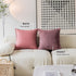 Demetex Rose Pink Pillow Covers 18x18 Set of 2 Super Soft Furry Throw Pillows Decorative Pillowcases for Couch Wedding Party Decor, 18x18 inch, Ro...