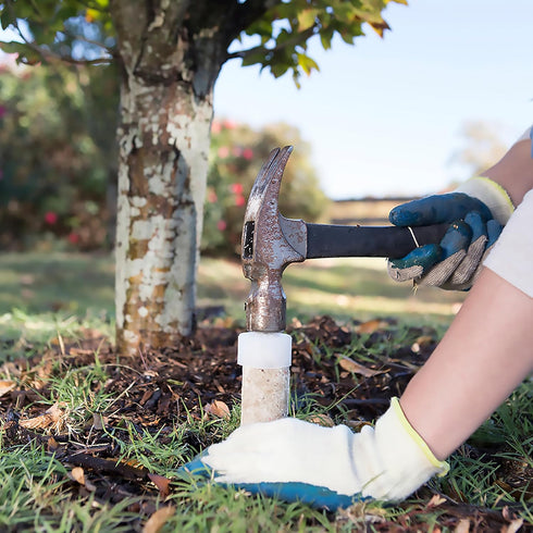 Jobe’s Slow Release Tree and Shrub Fertilizer Spikes, Easy Plant Care for Oak, Maple, Dogwood, Boxwood, and Many More Acid Loving Trees and Shrubs...