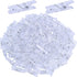 200 Pieces Photo Clips,Mini Clear Plastic Utility Paper Clip Clothespins Clip...