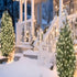 100 LED Warm White Green Wire String Lights, UL Certified and Commercial Decorative Lights String, for Indoor Outdoor Christmas trees, Patio, Tree...