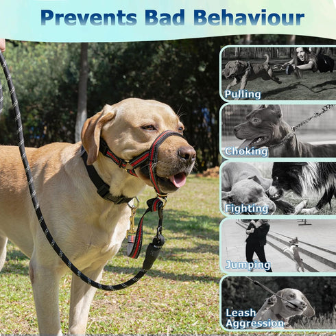 BARKLESS Muzzle Leash for Heavy Pullers, No Pull Stylish Head Halter for Medium Large Aggressive Dogs, Gentle Dog Face Harness Stops Pet Pulling a...