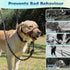 BARKLESS Muzzle Leash for Heavy Pullers, No Pull Stylish Head Halter for Medium Large Aggressive Dogs, Gentle Dog Face Harness Stops Pet Pulling a...