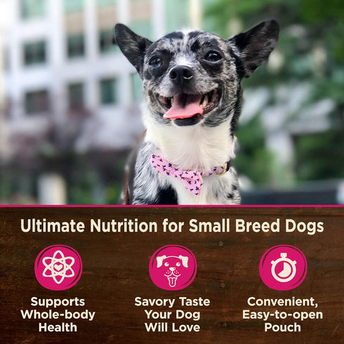 Wellness Core Grain Free Small Breed Mini Meals Chunky Variety Pack, 3 oz (Pack of 12)...