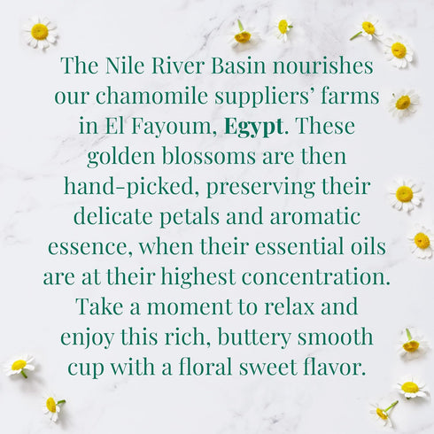 The Republic of Tea — Organic Egyptian Chamomile SuperHerb Tea Tin, 36 Herbal Tea Bags, Naturally Caffeine-Free Herbs of Origin...