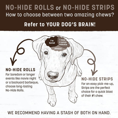 Earth Animal No Hide Strips Pumpkin Spice Flavored Vegetarian Natural Treats | No Rawhide | Quick & Thin Dog Chews | 1 Pack, 4 Count...