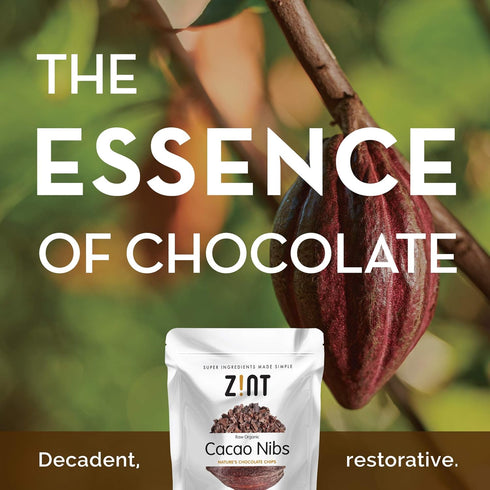 Zint Organic Cacao Nibs (8 oz): Fair Trade, Paleo-Certified, Organic, Non GMO, Anti Aging Antioxidant Superfood, Gluten Free Cocoa Cacao Beans...