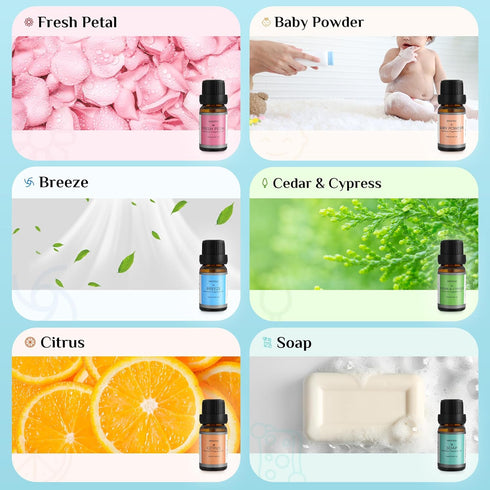 Clean Essential Oils Set - 6x10ML Fragrance Oil for Diffuser, Aromatherapy, Candle & Soap Making - Fresh Petal, Breeze, Citrus, Soap, Cedar&Cypres...