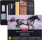 PANDAFLY Professional Colored Charcoal Pencils Drawing Set, 20 Pack Art Pencil Kit - Pastel Chalk Pencils, Black & White Charcoal Pencils, Graphit...