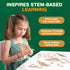 CoolToys Intrepid Insects Paint n' Play 3D Model and Craft Kit - Educational and Fun 3D Wooden Models Building and Painting Set for Kids Ages 6+ -...