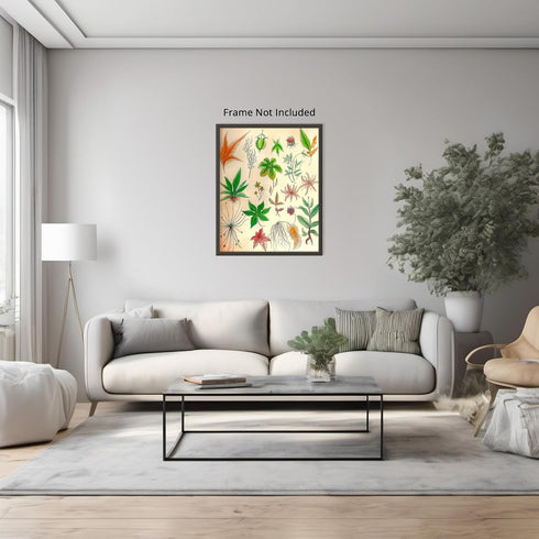 Posterizer 1 pcs-botanical illustration of a variaty of plants-educational art 5-Floral & Botanical Art Gift for Men Women Entrepreneur Teens Dec...