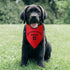 Emotional Support Animal Dog Bandana Funny Dog Bandana Puppy Bandana Triangle Bibs Scarf Accessories for Small Medium Dogs Pets...