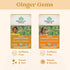ORGANIC INDIA Tulsi Lemon Ginger Tea Bags - Herbal Tea, Stress Relieving & Reviving, Immune Support, Aids Digestion, Vegan, USDA Certified Organic...